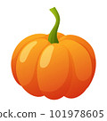 Pumpkin isolated on white background 101978605
