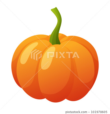 Pumpkin isolated on white background 101978605