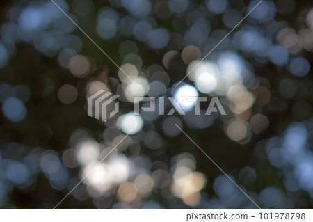 bokeh green background bokeh green background 101978798