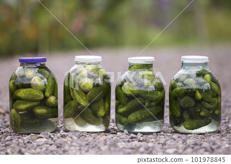 Big glass jars with green fresh pickles cucumbers salted in marinade on abstract blurred background. Big glass jars with green fresh pickles cucumbers salted in marinade on abstract blurred background. 101978845