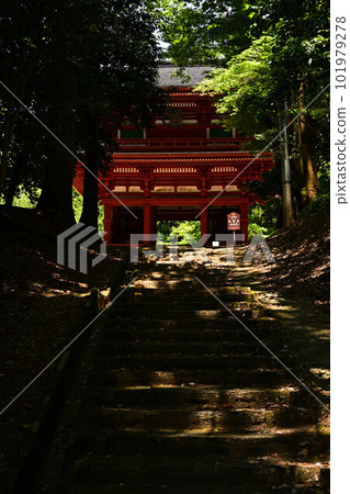 光明寺仁王門 光明寺仁王門 101979278