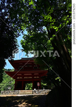 Niomon Gate of Komyo-ji Temple Niomon Gate of Komyo-ji Temple 101979293