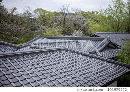 Kumamoto Castle Karashima Town Scenery around Kumamoto Castle Karashima Town Scenery around 101979322