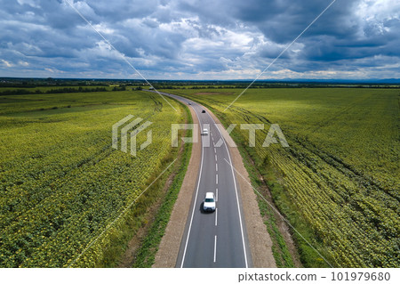 Aerial view of intercity road between green agricultural fields with fast driving cars. Top view from drone of highway traffic 101979680