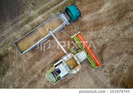 Aerial view of combine harvester unloading grain in cargo trailer working during harvesting season on large ripe wheat field. Agriculture and transportation of raw farm products concept 101979745