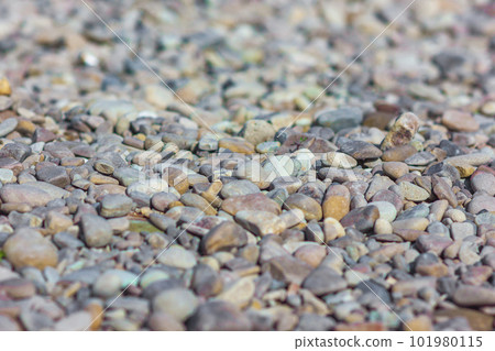 Abstract background with dry grey round big and small sea reeble 101980115