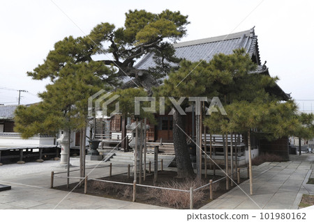 Tied Jizo Narihirayama Nanzoin Temple 101980162