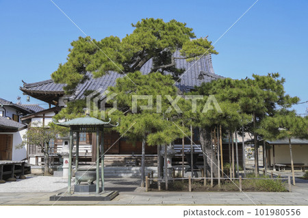 Tied Jizo Narihirayama Nanzoin Temple 101980556