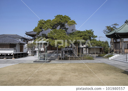 Tied Jizo Narihirayama Nanzoin Temple 101980557