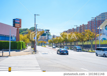 A view near the traffic lights at the entrance of Toyohama Marina Town, Nishi Ward, Fukuoka City, Fukuoka Prefecture Marina Street A view near the traffic lights at the entrance of Toyohama Marina Town, Nishi Ward, Fukuoka City, Fukuoka Prefecture Marina Street 101981148