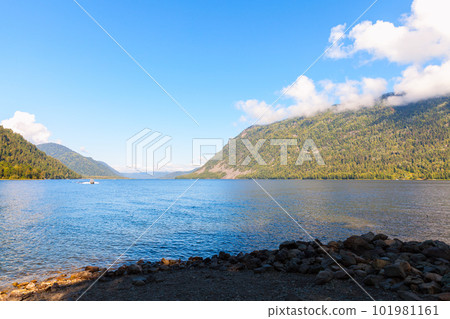 Teletskoye lake coastal view on a sunny summer day. Siberia, Russia Teletskoye lake coastal view on a sunny summer day. Siberia, Russia 101981161