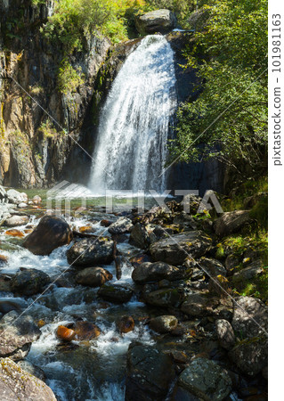 Waterfall Korbu, vertical photo taken on a sunny day. Altai Republic 101981163