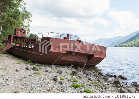 Ship wreck, an abandoned rusy barge lays on the coast 101981172