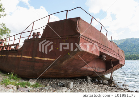 Abandoned rusy barge is on the coast of Teletskoye lake 101981173