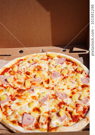 Pizza with pineapple and ham is a popular type of pizza known as Hawaiian pizza. 101981286