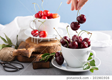 Fresh sweet cherries in cups 101981916