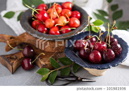 Fresh red sweet cherry Fresh red sweet cherry 101981936
