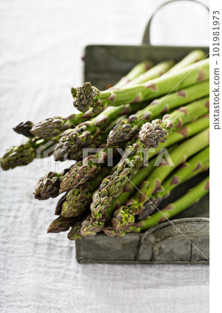 Bunch of green asparagus on a tray 101981973