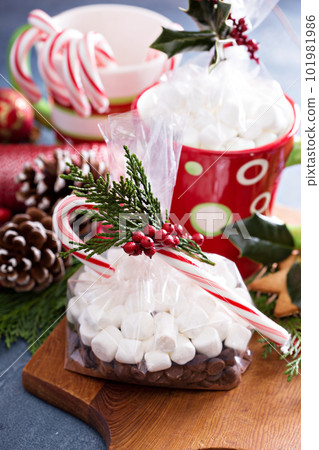 Hot cocoa set as a Christmas gift 101981986