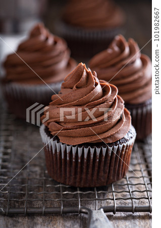 Chocolate cupcakes with whipped ganache 101982667
