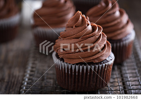 Chocolate cupcakes with whipped ganache 101982668