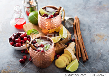 Moscow mule cocktail with ginger and cranberry Moscow mule cocktail with ginger and cranberry 101982676