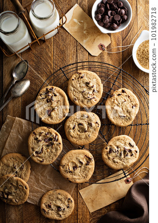 Homemade chocolate chip cookies with milk 101982718