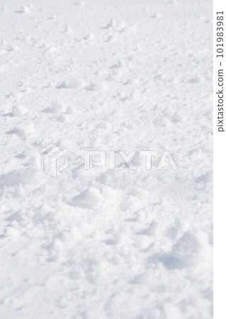 Snow and footprints 101983981