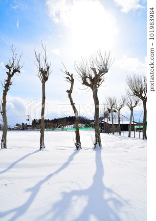 Hasagi in Natsui in winter (Niigata Prefecture) Hasagi in Natsui in winter (Niigata Prefecture) 101983984