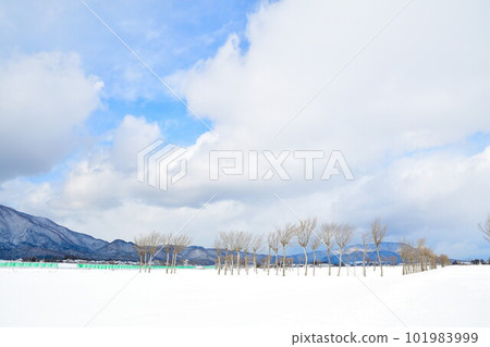 Hasagi in Natsui in winter (Niigata Prefecture) Hasagi in Natsui in winter (Niigata Prefecture) 101983999