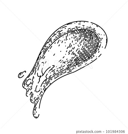 wasabi green food sketch hand drawn vector wasabi green food sketch hand drawn vector 101984306