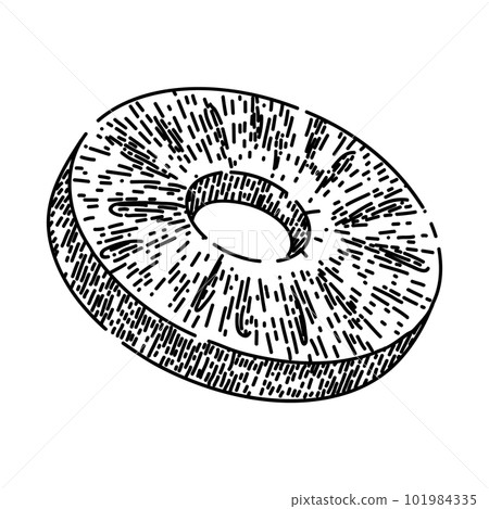 pineapple slice round sketch hand drawn vector 101984335