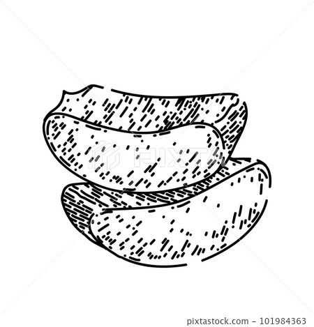 aloe vera cut sketch hand drawn vector 101984363