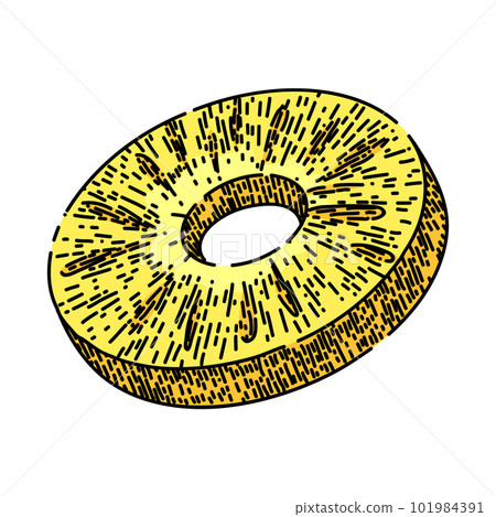 pineapple slice round sketch hand drawn vector 101984391
