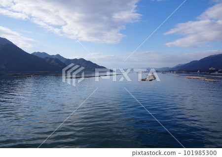 Oyster shelf around Miyajima, Hiroshima Prefecture Calm Seto Inland Sea Oyster farming 101985300