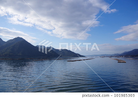 Oyster shelf around Miyajima, Hiroshima Prefecture Calm Seto Inland Sea Oyster farming 101985303