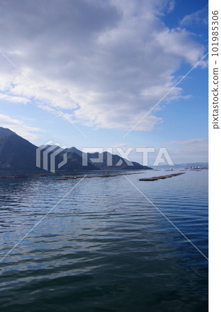 廣島縣宮島附近的牡蠣架平靜的瀨戶內海牡蠣養殖 廣島縣宮島附近的牡蠣架平靜的瀨戶內海牡蠣養殖 101985306