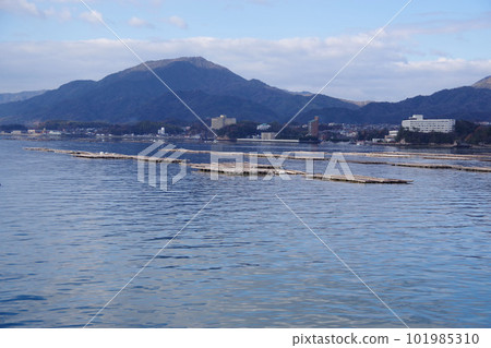 Oyster shelf around Miyajima, Hiroshima Prefecture Calm Seto Inland Sea Oyster farming 101985310