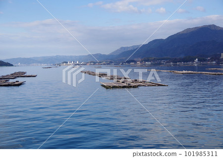 Oyster shelf around Miyajima, Hiroshima Prefecture Calm Seto Inland Sea Oyster farming 101985311