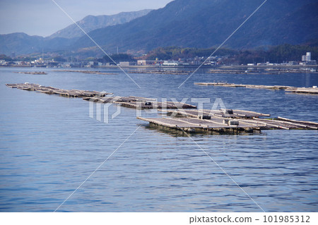 Oyster shelf around Miyajima, Hiroshima Prefecture Calm Seto Inland Sea Oyster farming 101985312