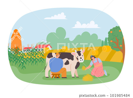 Harvest season. Farmers on plantation collecting corn Harvest season. Farmers on plantation collecting corn 101985484