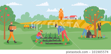 Autumn gathering, farmers collect harvest fruits and vegetables in garden 101985574
