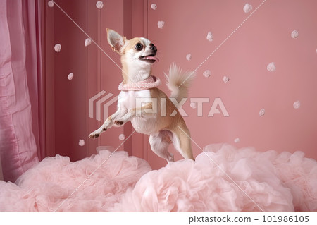 Cute chihuahua puppy jumping in the pink room. Tiny dog soaring in light veil and tulle. Generated AI. Cute chihuahua puppy jumping in the pink room. Tiny dog soaring in light veil and tulle. Generated AI. 101986105