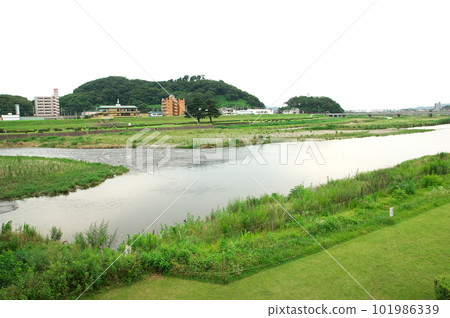 Riverbed lawn (Watarase River (near Ashikaga Station)) Riverbed lawn (Watarase River (near Ashikaga Station)) 101986339