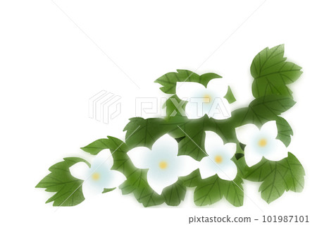 Shirane Aoi flower card 2 101987101