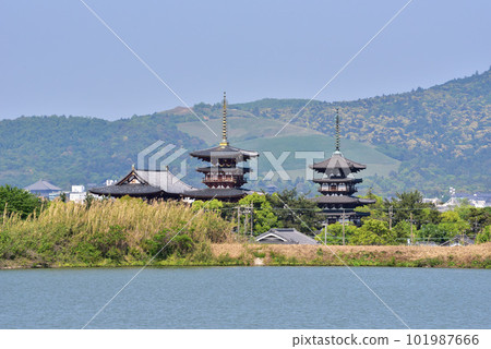 藥師寺和勝又池的若草山,新綠季節 藥師寺和勝又池的若草山,新綠季節 101987666