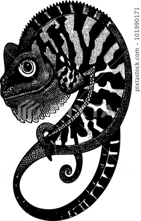 black contour drawing of a chameleon close-up, monochrome graphics, logo, tattoo black contour drawing of a chameleon close-up, monochrome graphics, logo, tattoo 101990171