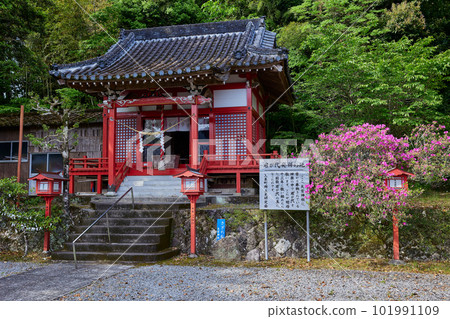 Omiya Shrine, the birthplace of Kimigayo 101991109