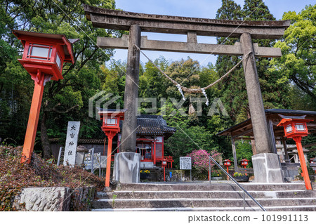 大宮神社,是Kimigayo的誕生地 大宮神社,是Kimigayo的誕生地 101991113