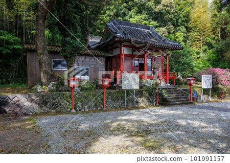 大宮神社，是Kimigayo的誕生地 101991157